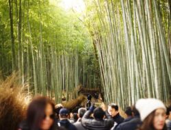 Makan Ubi Rebus di Hutan Bambu