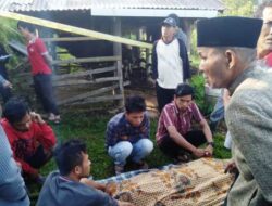 Warga Matur Ditemukan Gatung Diri di Kandang Kerbau