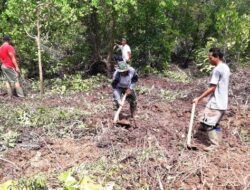 Satgas TMMD dan Masyarakat Tanam Mangrove