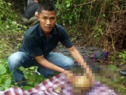 Masyarakat Sungai Limau Temukan Tengkorak Manusia