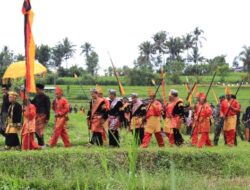 Lewati Indahnya Hamparan Sawah, Tradisi Arak Iriang di Situjuah Batua Berlangsung Meriah