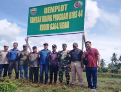 Tinkatkan Produksi, Tambak Udang Bios 44 Dikembangkan