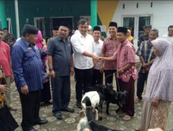 Bupati Dharmasraya Serahkan Bantuan Kambing Baznas