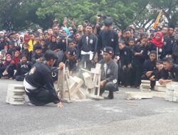 HUT Dharmasraya, Ribuan Pesilat Unjuk kebolehan