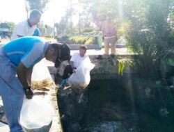 Dinas PKP Agam Tebar 20 Ribu Benih Ikan di Bandar Larangan