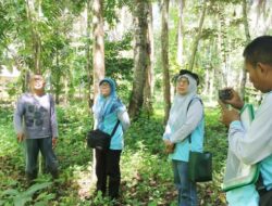 DLH Sumbar Lakukan Penilaian Kalpataru ke Pariaman