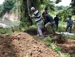 Batang Tiku Mengganas, Ratusan Kuburan Terancam Masuk Sungai