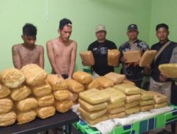 Bawa Puluhan Kg Ganja, Warga Lubuk Minturun Diamankan Polres Pasaman