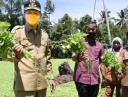 Sektor Pertanian Tulang Punggung Perekonomian Rakyat