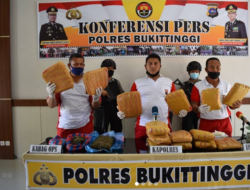 Tersangka Diamankan Polres Bukittinggi, 15 Kg Ganja Disita