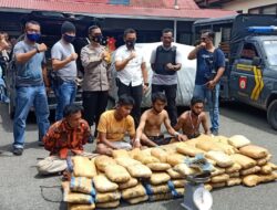 Kurir Ganja Diamankan Polres Payakumbuh, Bawa 100 Paket dari Penyabungan