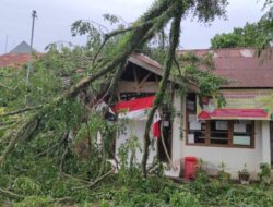 Ditimpa Pohon, Kantor Lurah Ulak Karang Utara Rusak