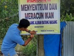 Agar Buaya Tidak “Marah”, Pemuda Masang Tiku V Jorong Pasang Plang Larangan Setrum Ikan