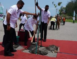 Mitigasi Dampak Tsunami, Wapres Tanam Pohon di Pariaman