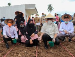 Anggaran 10 Persen dari APBD Bukti Sumbar Serius di Pertanian