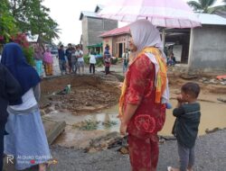 Banjir Ratusan Hektare Lahan Pertanian Rusak