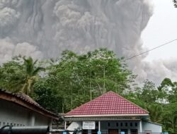 Dampak Erupsi Gunung Semeru, 13 Warga Meninggal