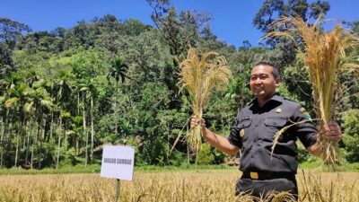 Hadiri Panen Raya, Begini Arahan Wagub untuk Petani