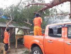 Lima Titik Terdampak Pohon Tumbang Akibat Angin Kencang