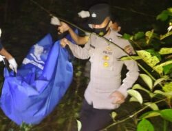 Petani di Pasaman Barat Mayat Ditemukan Jadi Mayat di Kebun Sawit