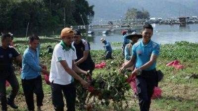 DLH Agam Kembali Goro Bersihkan Enceng Gondok di Danau Maninjau