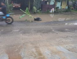 Jalan Berlubang, Warga Maransi Tanam Pohon Pisang di Tengah Jalan