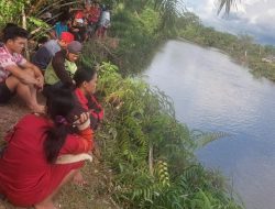 Buaya yang Terkam Pencari Lokan di Pasaman Barat Belum Ditemukan