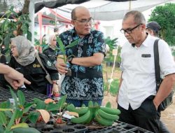 Petani Diharapkan Mencontoh Teknologi Pertanian Penas KTNA