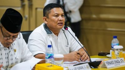 Fernando Sinaga Minta Menkominfo Baru Pastikan Percepatan Internet di Daerah 3T