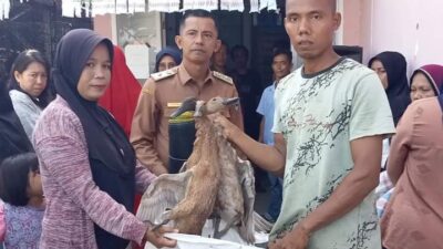 Pemnag Sago Salido Serahkan Bantuan Itik Petelur kepada Masyarakat Miskin