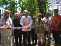 Dibangun Semen Padang, Goa Kelelawar Padayo Diresmikan Walikota