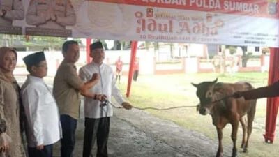 Satu Ekor untuk PWI, Polda Sumbar Salurkan 170 Hewan Kurban