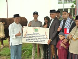 Sapi Presiden Joko Widodo untuk Sumbar Disembelih di Masjid Raya Sumbar