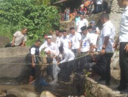 Bupati Pasaman Lepas Bibit Ikan Garing di Kampung Tongah