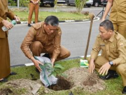  Pemko Pariaman Canangkan Satu Pohon Satu Pekan