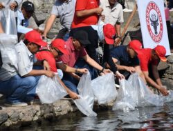 Yosviandri Ceritakan Ide Awal Pemgembangbiakan Ikan Bilih Oleh Semen Padang