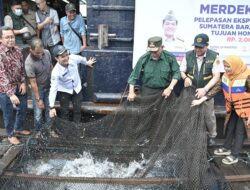 Ekspor 11 ton Ikan Kerapu Masih Belum Cukup, Sumbar Tambah Lahan Perikanan