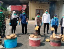 Polres Padang Pariaman Musnahkan 89 Kg Ganja