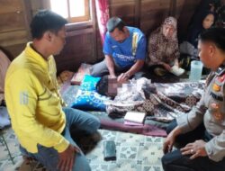 Bocah 11 Tahun di Inhil Tewas Diterkam Buaya Saat Mandi di Sungai