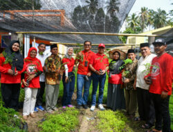 Komitmen PT Semen Padang pada Energi Terbarukan, Panen Perdana 45 Ribu Bibit Kaliandra di HKm Sialangan,