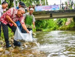 Dorong Ekonomi Masyarakat, PT Semen Padang Luncurkan Revitalisasi Ikan Gariang Langka