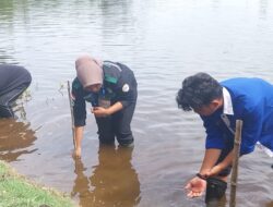 Pegadaian Peduli tanam 1.230 bibit mangrove di Pantai Pasir Jambak