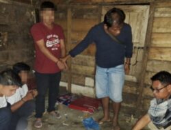 Dua Pemuda Pasaman Barat Dibekuk, Simpan Ganja di Rumah Kosong