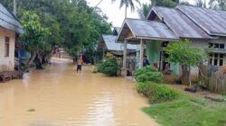 Dua Jorong di Kamang Baru Sijunjung Diterjang Banjir 