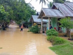 Dua Jorong di Kamang Baru Sijunjung Diterjang Banjir 