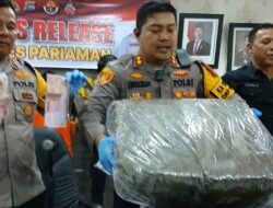 Setahun Diburu, Pemilik 11 Kg Ganja di Jasa Ekspedisi Ditangkap Polres Pariaman