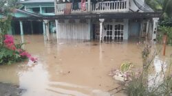 Data BPBD Pasaman Barat, 222 Rumah di Aia Gadang Barat Terendam Banjir