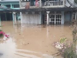 Data BPBD Pasaman Barat, 222 Rumah di Aia Gadang Barat Terendam Banjir