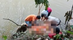 Polisi Evakuasi Mayat Bayi Tanpa Kepala Hanyut di Sungai Pisang Rebus Dharmasraya